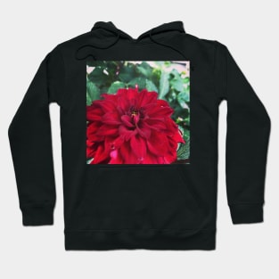 Red Layers Hoodie